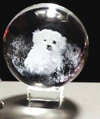 Dog and Cat Engraved Crystal Ball