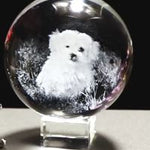 Boule de cristal gravée chien et chat