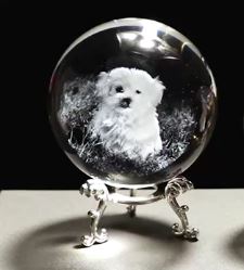 Dog and Cat Engraved Crystal Ball