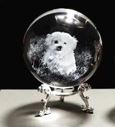 Boule de cristal gravée chien et chat